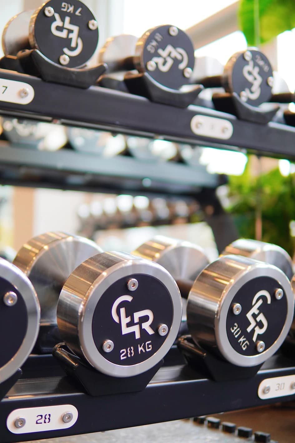 A close up picture of dumbells with the Brand CLR its a custom logo its the brand of the gym
