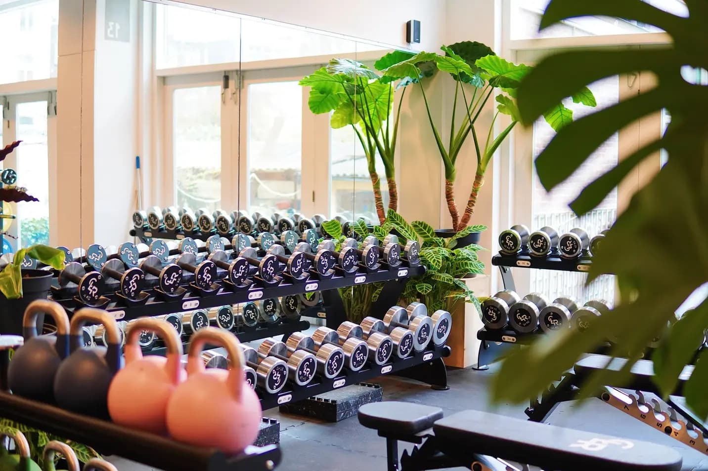 An image of a personal Training studio inside a living room with plants and weights and colour full kettlebells